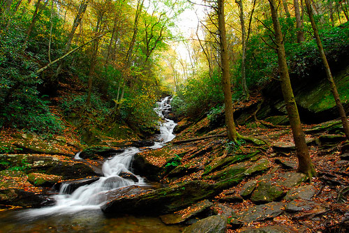 roaring fork falls